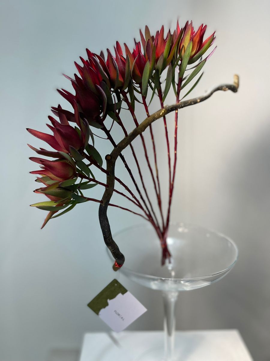 Composizione scultorea minimale in calice di vetro